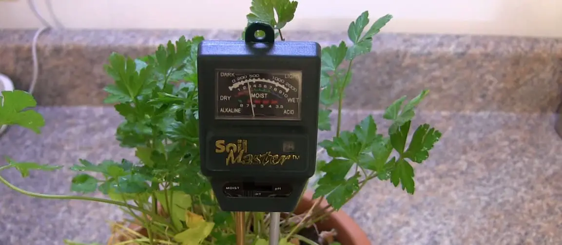 In the plant pot SONKIR Soil pH Meter Upgraded 3-in-1 Soil Moisture/Light/pH Tester
