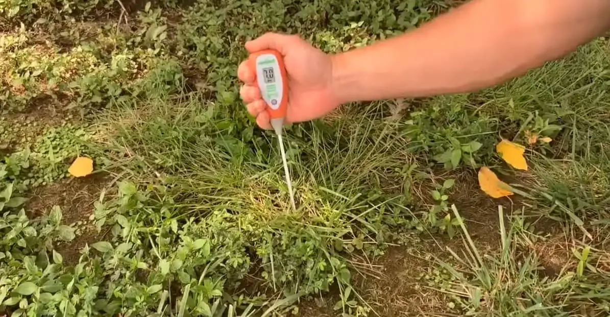 Holds a Luster Leaf Digital Soil Ph Meter in the hand