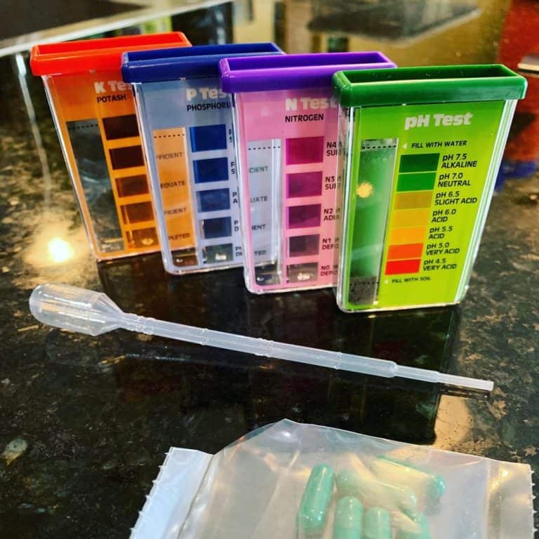 10 Best Soil pH Testers in 2024 Reviews & Buyer's Guide