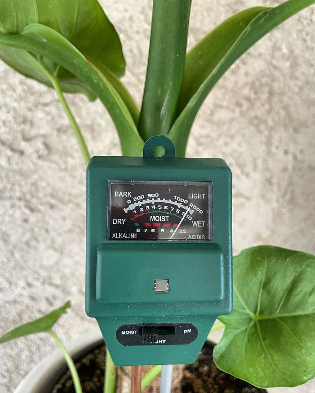 Digital 5 Types PH Tester Soil Water Moisture Light Test Meter for Plant Pool 