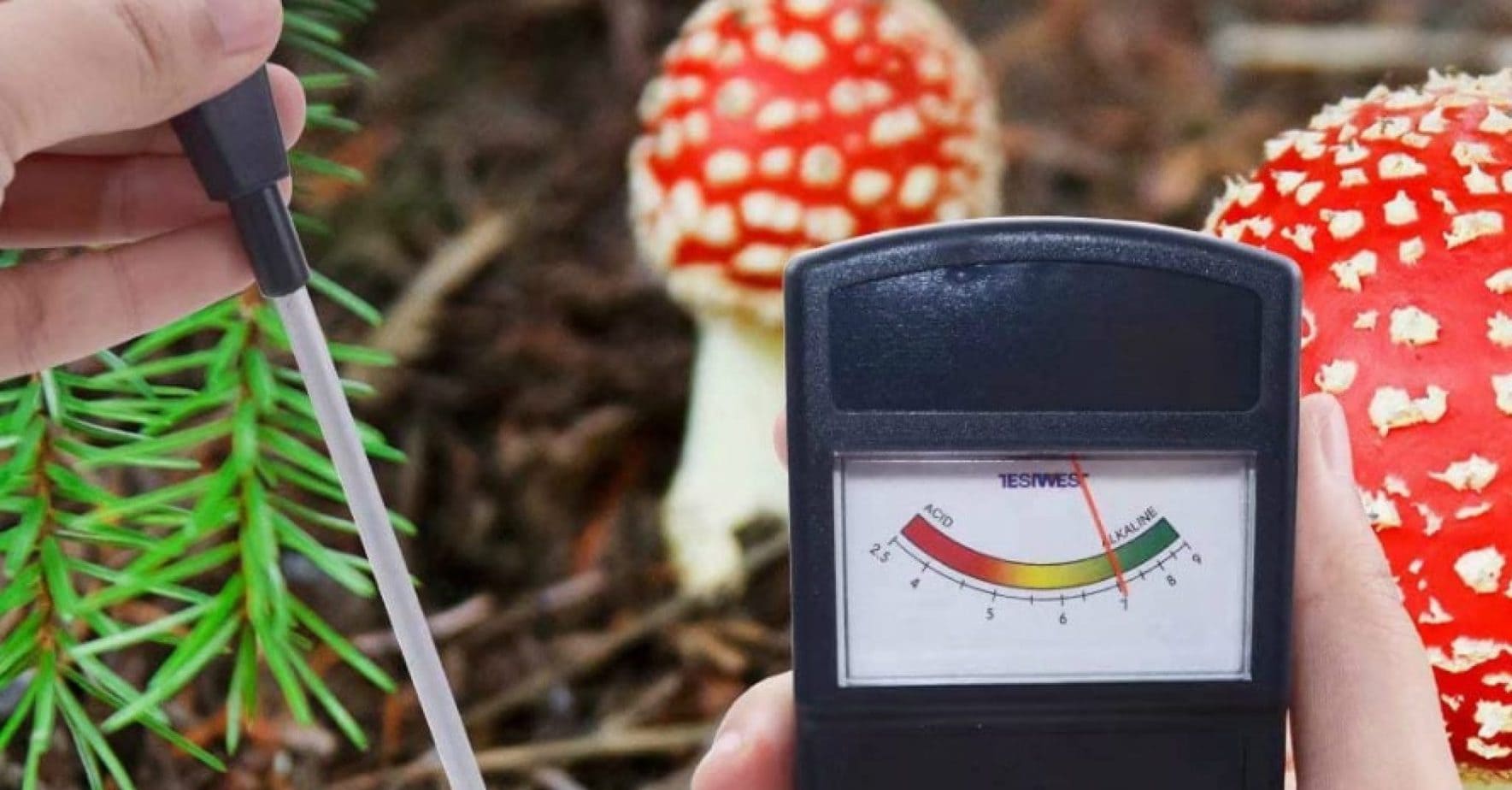 10 Best Soil pH Testers in 2024 Reviews & Buyer's Guide