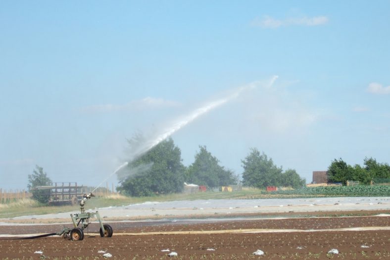 Traveling sprinkler on the field