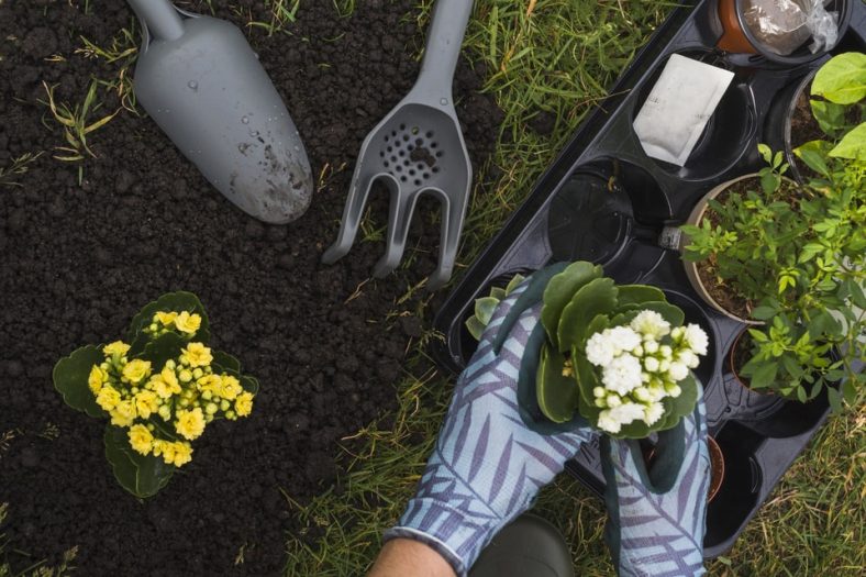 Gardener planting flowers