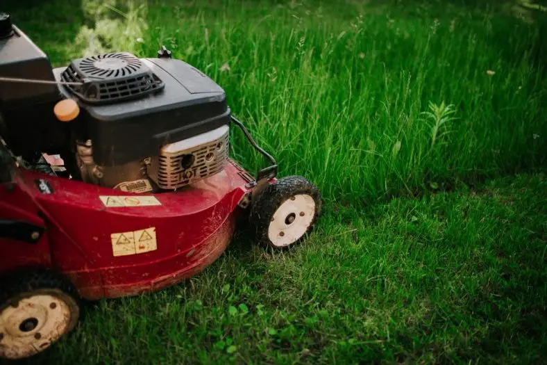 Red lawn mower on the grass