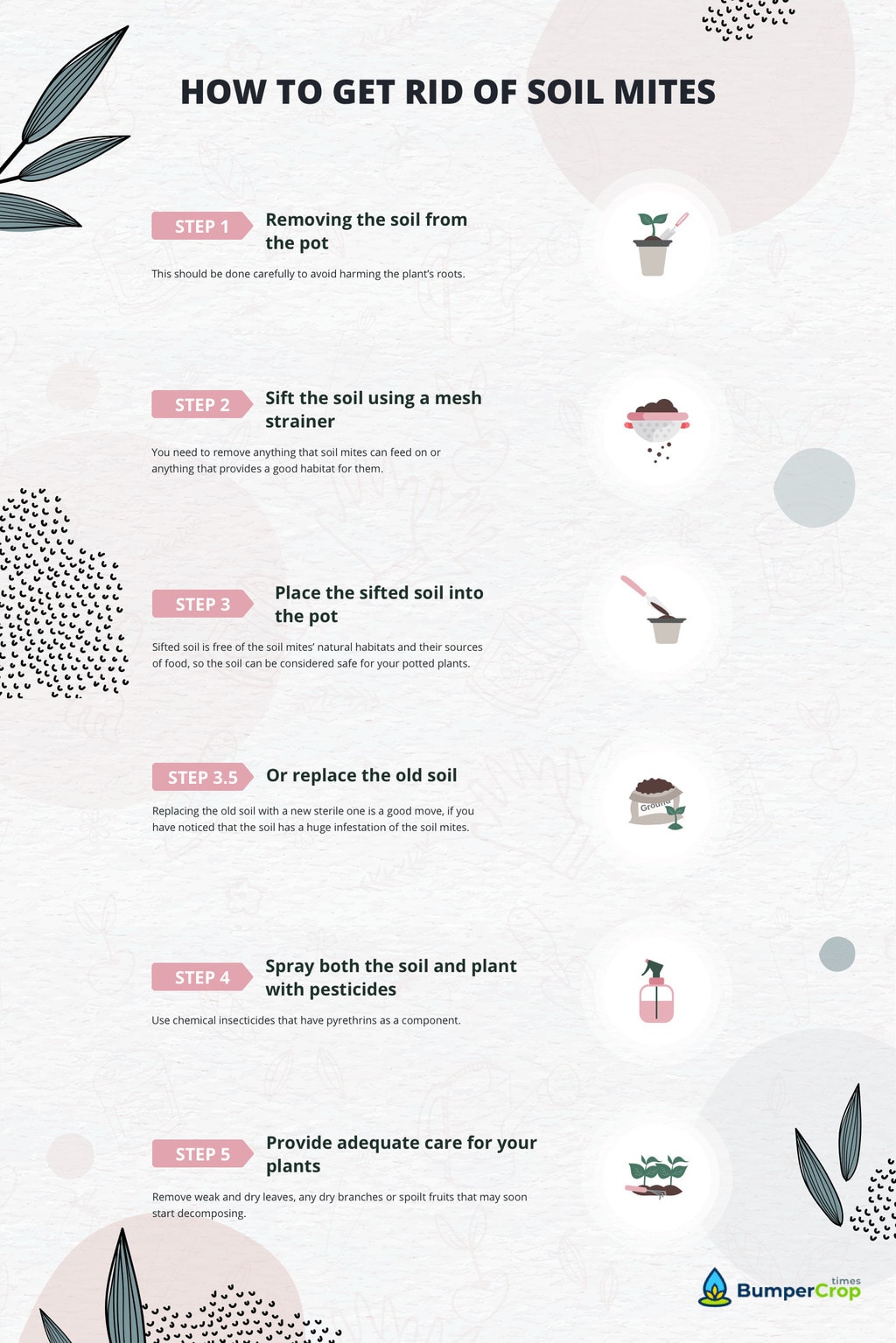 how to get rid of soil mites infographic