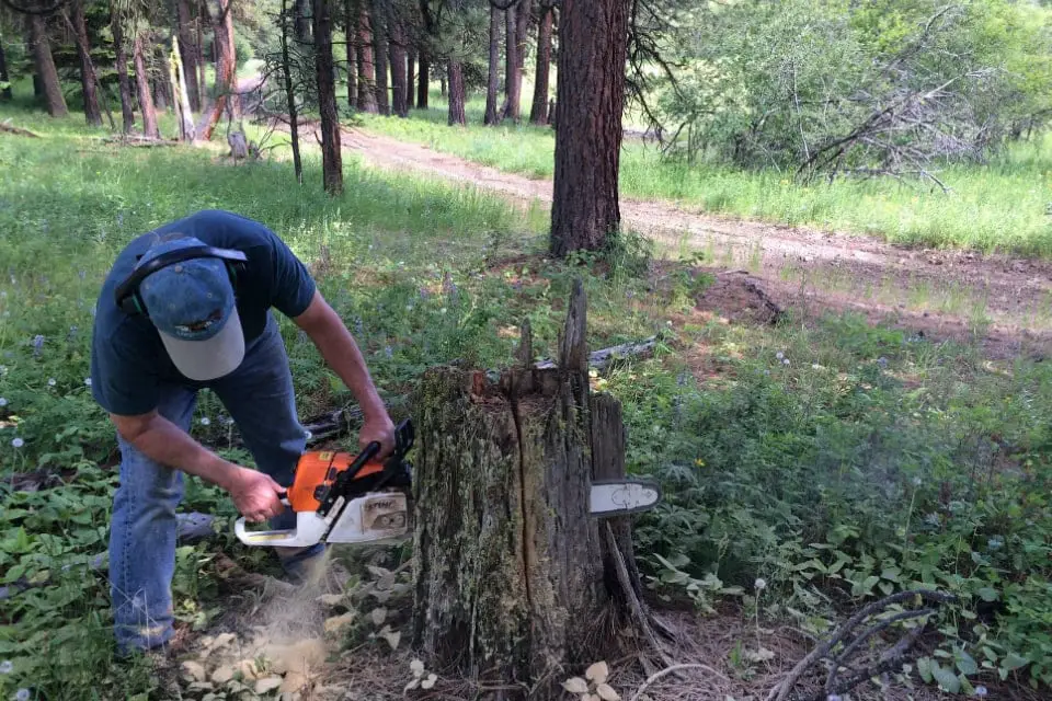 Man cut the tree with a chainsaw