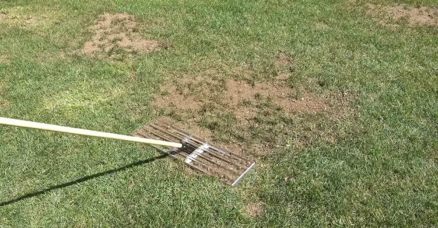 Lawn leveling rake