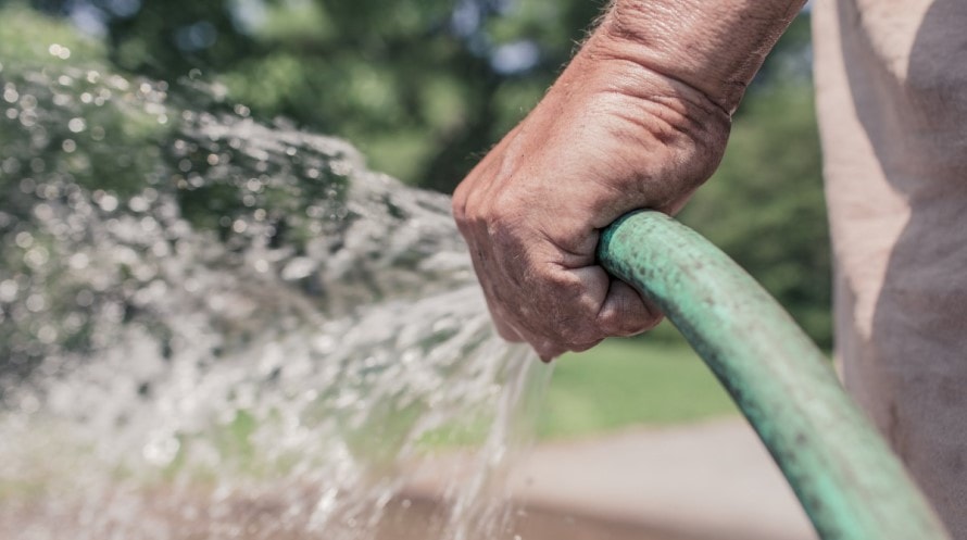 watering the seeds