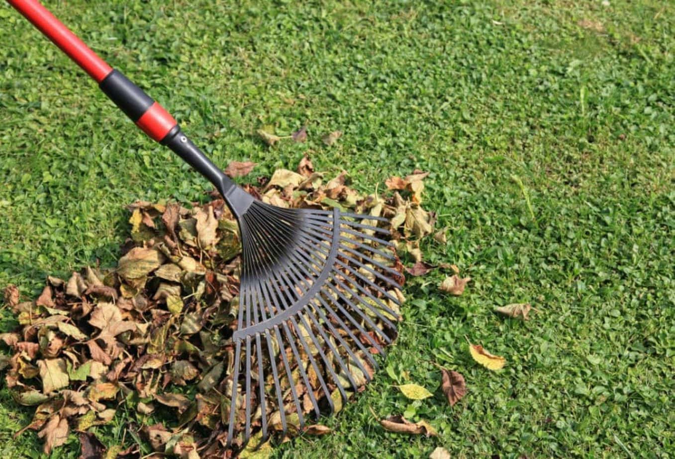 5 Best Landscape Rakes to Choose in 2024 and Why Do You Need It