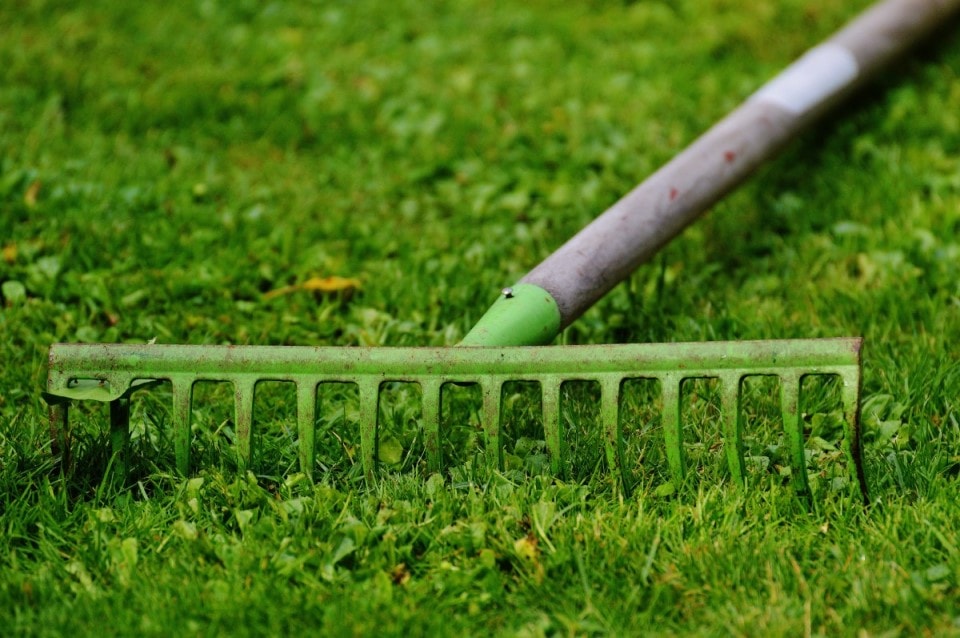 landscape rake