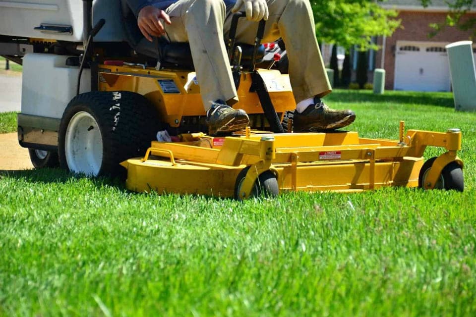5 Best Lawn Weed and Feed Solutions for Your Garden in 2024