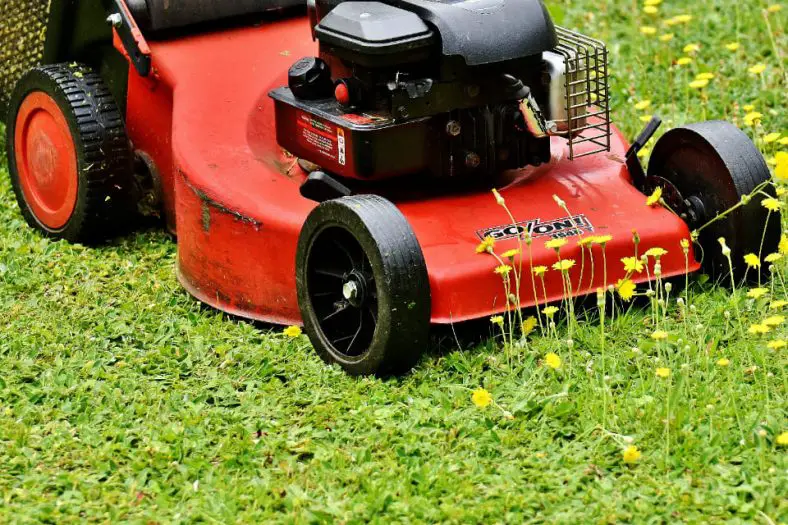 Best Electric Start Self Propelled Lawn Mower in 2022: Make The Rational Choice