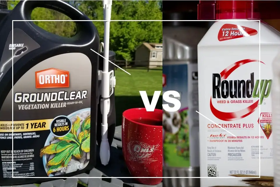 Ortho Ground Clear vs Roundup