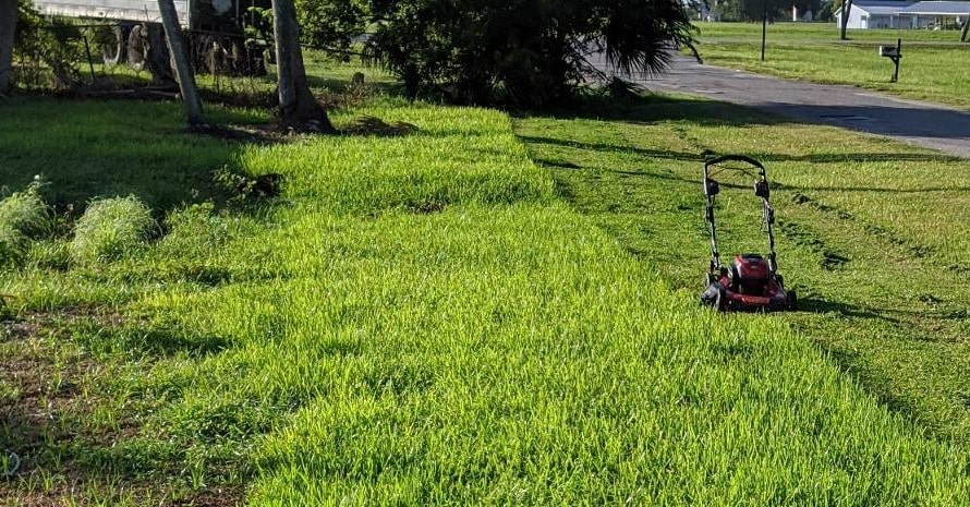 Snapper XD 82V Self-Propelled Lawn Mower