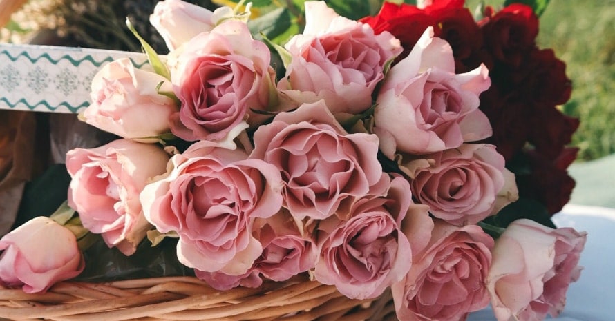 roses on a basket