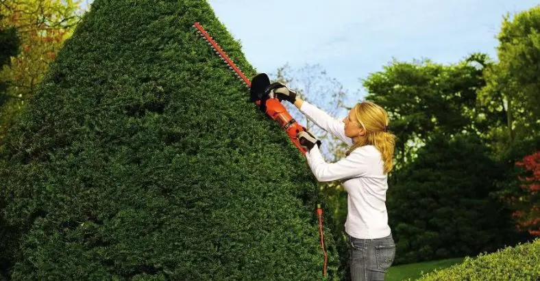 Best Corded Hedge Trimmer to Buy in 2022: Electric Hedge Trimmer Reviews