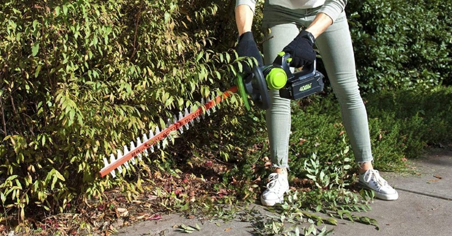 5 Best Battery Powered Hedge Trimmers Of 2024 For Any Season