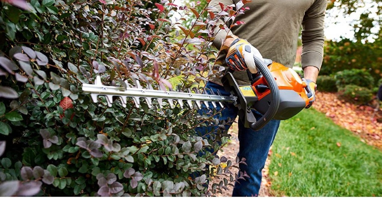 5 Best Gas Hedge Trimmers in 2024 Expert Reviews and Buyer's Guide