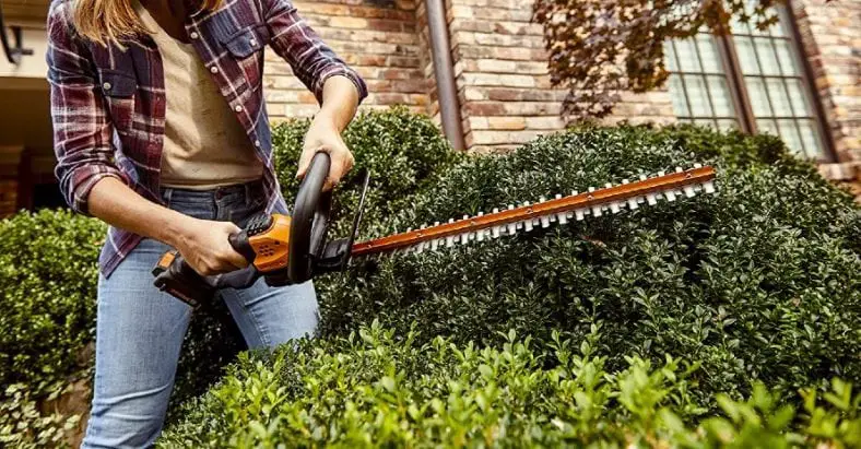 Best Battery Powered Hedge Trimmer of 2022: Make Cutting Easy and Pleasant