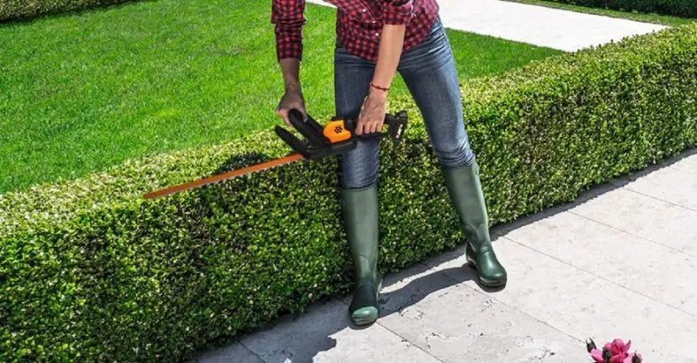 Best Electric Hedge Trimmer for Your Garden in 2022