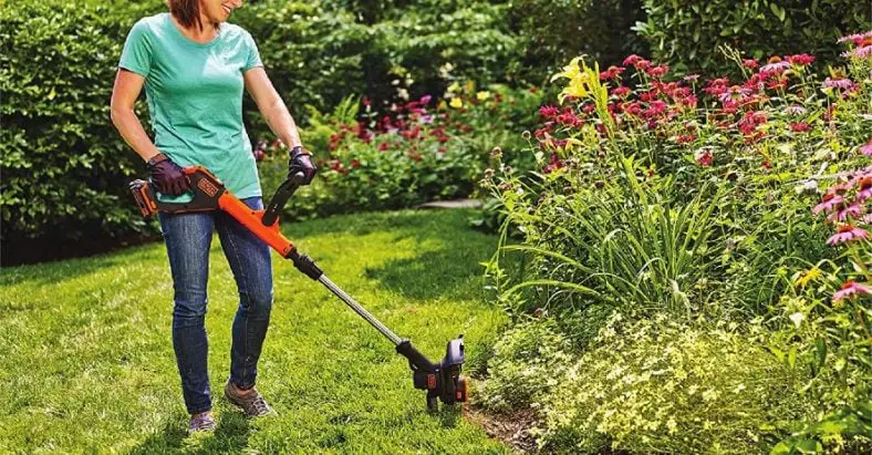 The Best Battery-Powered Weed Eater — Lawn & Order