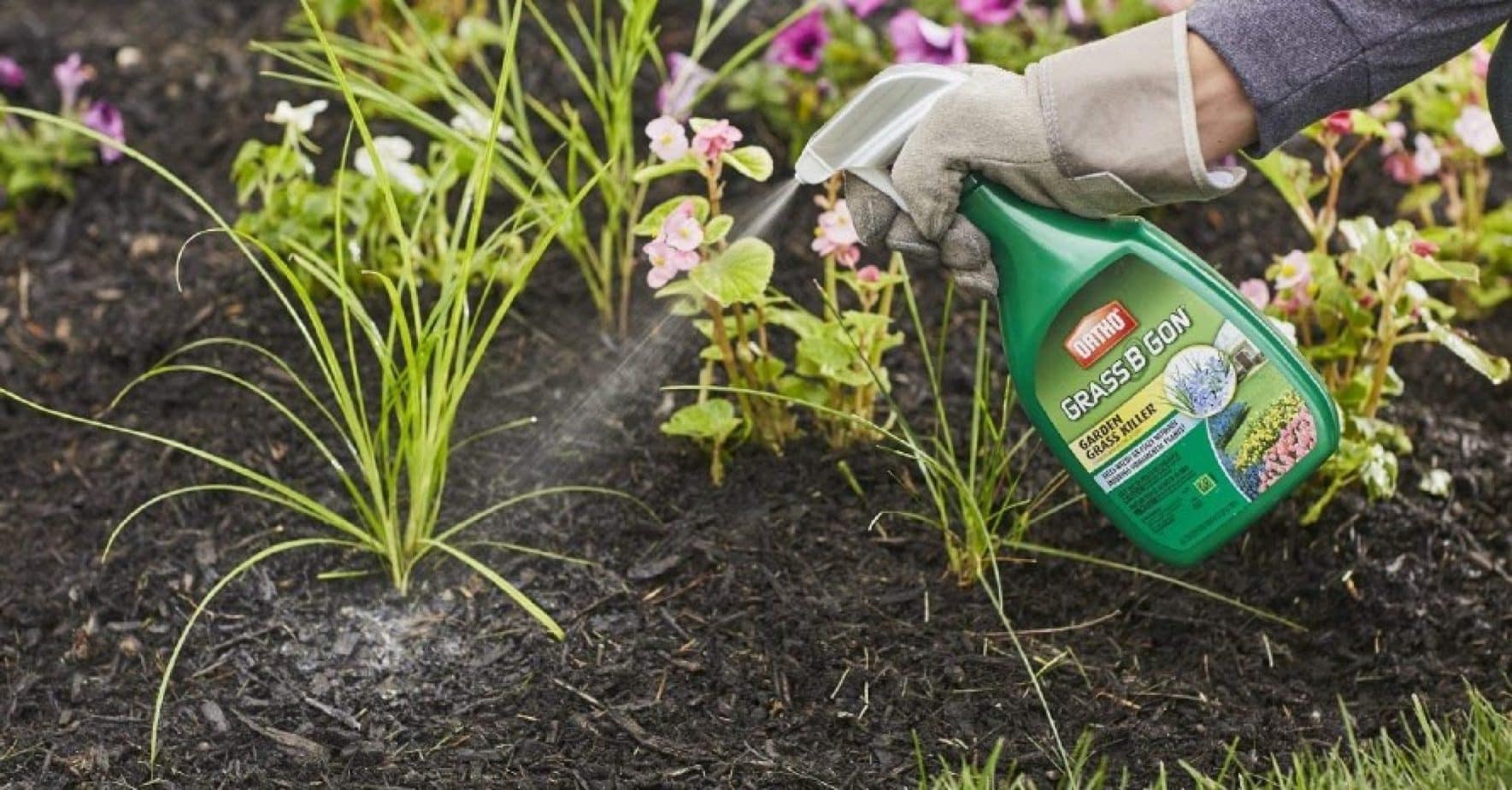 3 Best Weed Killers for Flower Beds of 2024 Treat Unwanted Plants