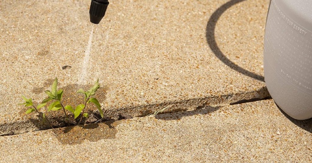 3 Best Weed Killers for Flower Beds of 2024 Treat Unwanted Plants