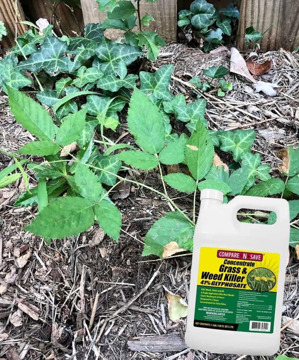 4 Best Weed Killers for Bermuda Grass of 2024 Get a Lawn