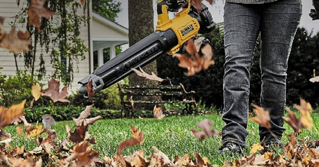 Best Leaf Blower for Garden & Lawn Top Models and Tips of 2021