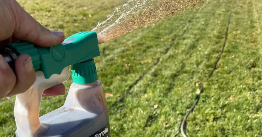 best fertilizer for St. Augustine lawns