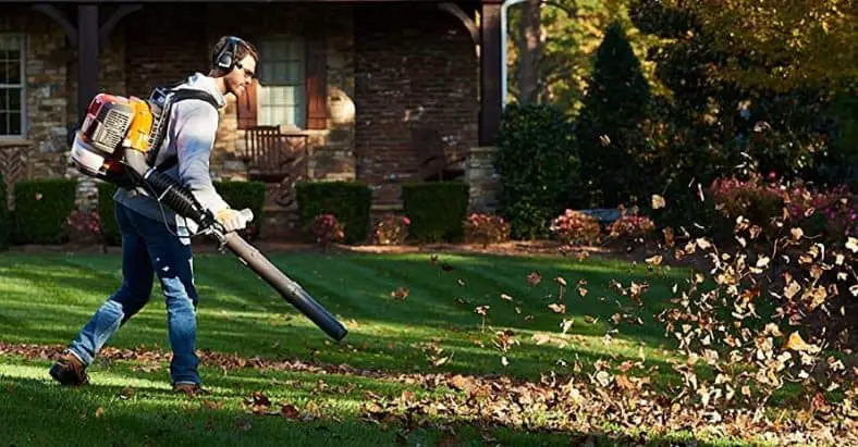 Best Gas Leaf Blower: Top-Rated Products to Keep Your Lawn Neat in 2022