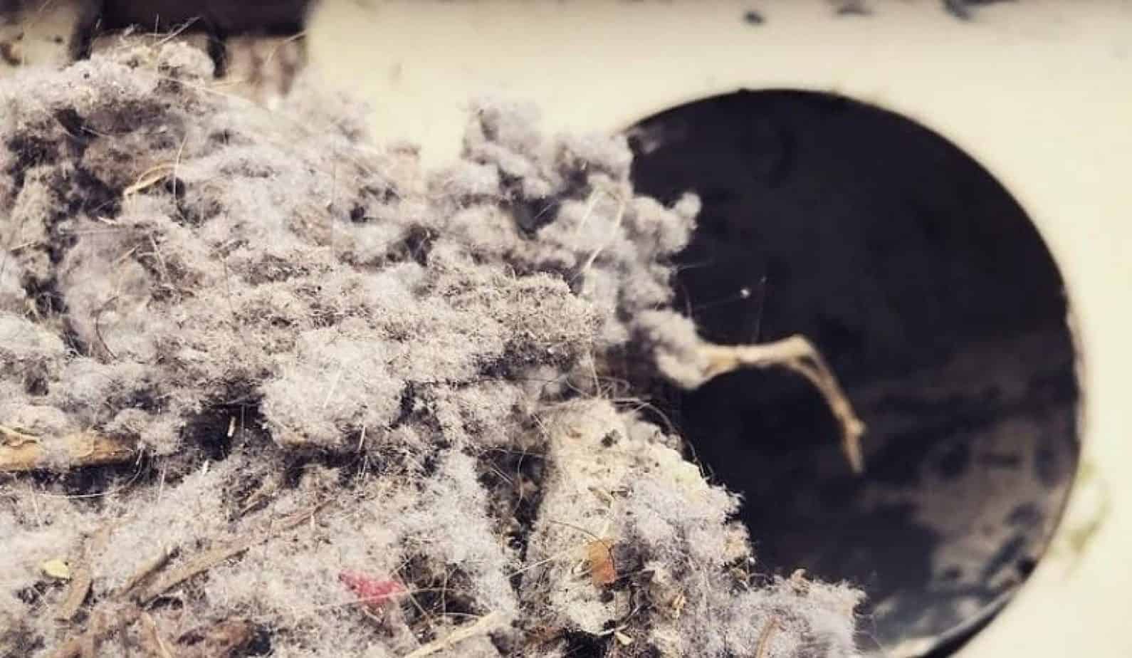 How to Clean Dryer Vent With a Leaf Blower Easy Steps