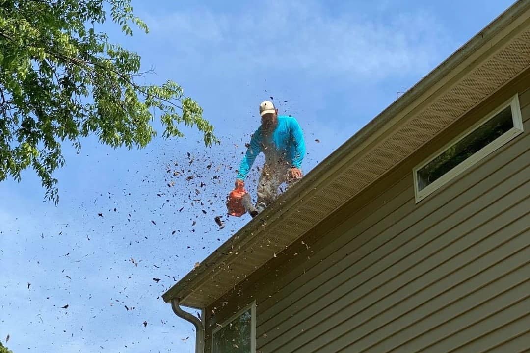 Step 4: Use the leaf blower