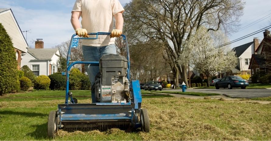 De-thatching lawn with power rake