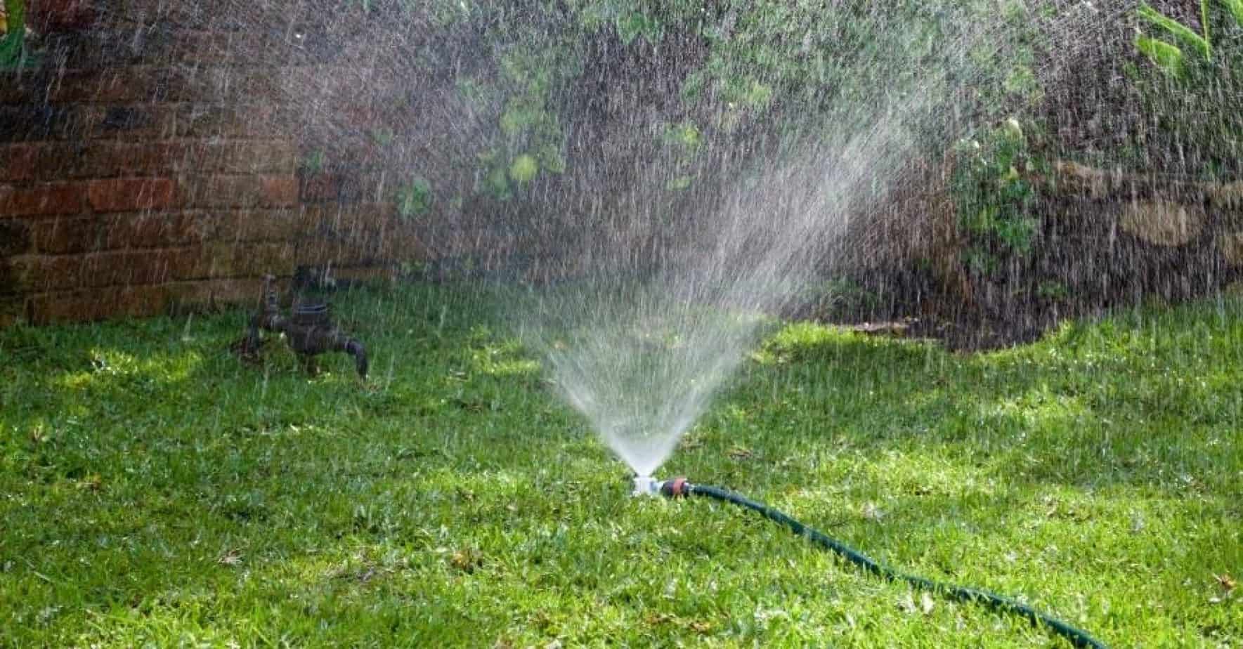 Watering New Grass Seed Techniques to Get Perfect Lawn