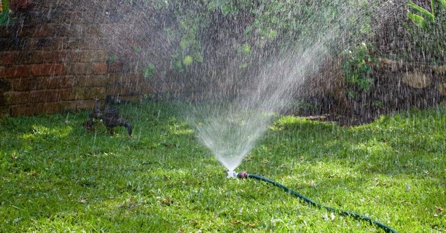 Watering new grass