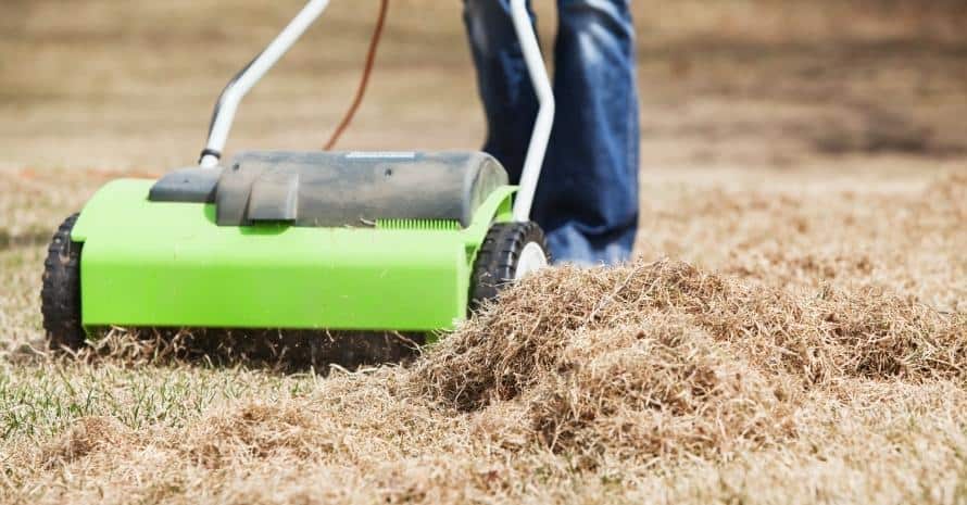 Electric Power Rake Dethatching Spring