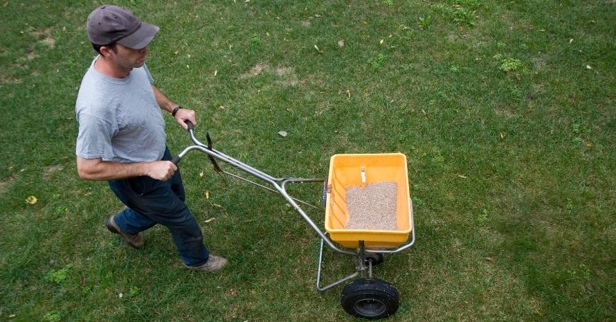 Landscaper Fertilizes a Lawn