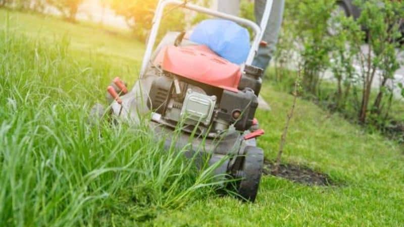 Mowing the lawn with a lawnmower