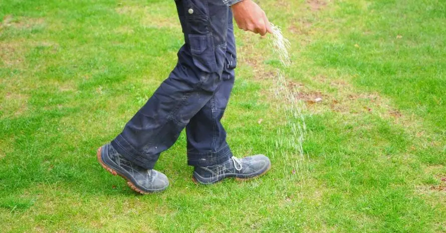 one man farmer is fertilizing the lawn soil