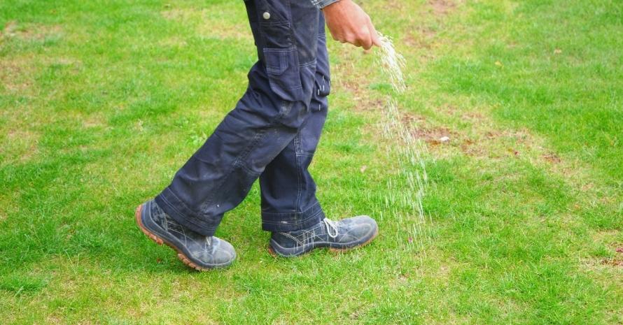 one man farmer is fertilizing the lawn soil