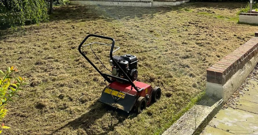 red LawnMaster in the garden