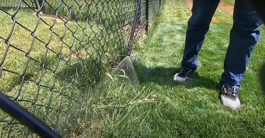 Spraying bermuda grass