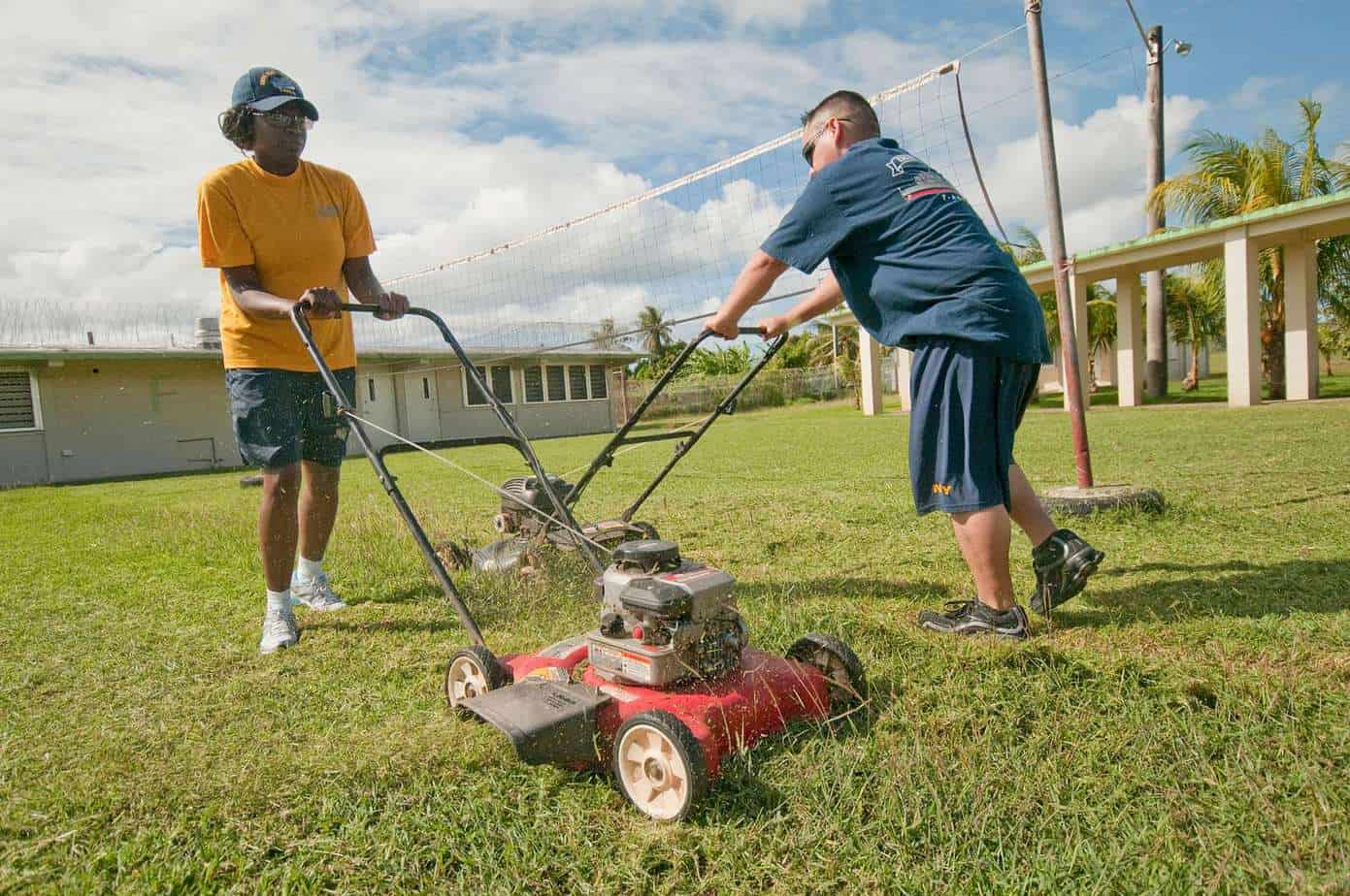 Power rake vs dethatcher. Same or not?