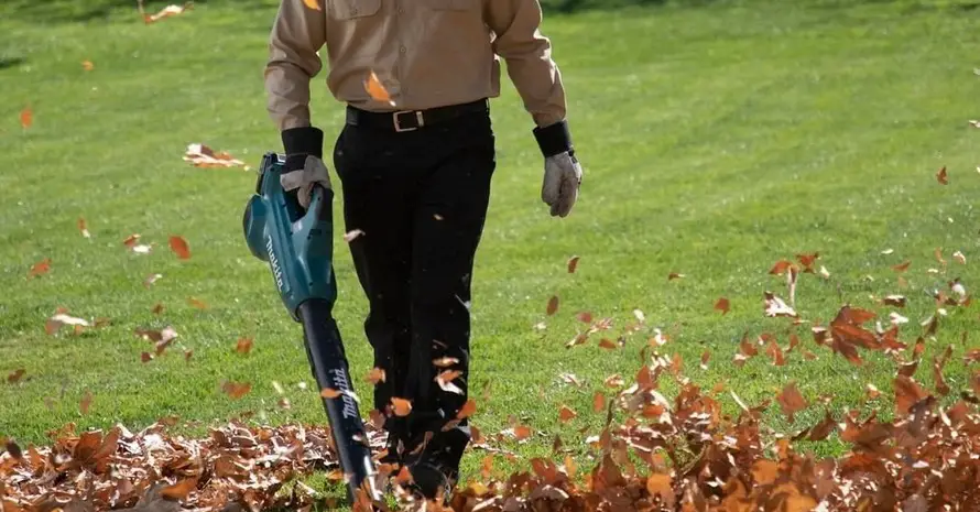 Man Are Brining Handheld Leaf Blower