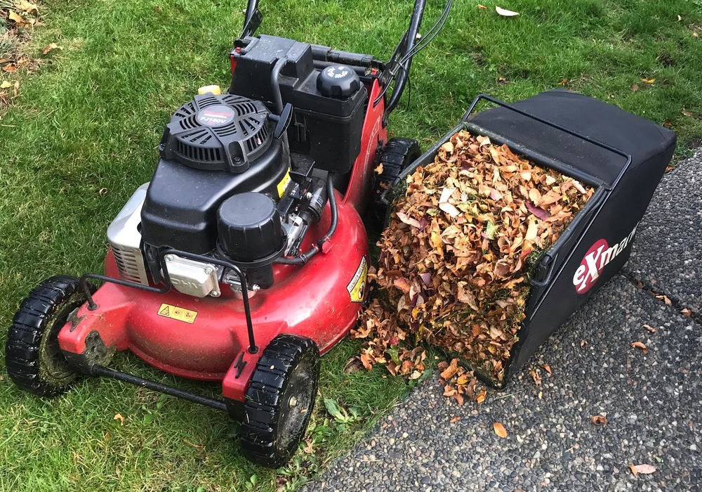 Wide leaf blower