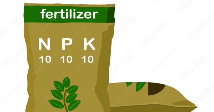 what-is-10-10-10-fertilizer-good-for-benefits-usage-and-best