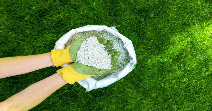 When to Fertilize New Grass: A Guide for Gardeners – BumperCrop Times