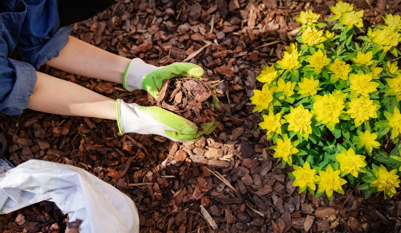 Mulching